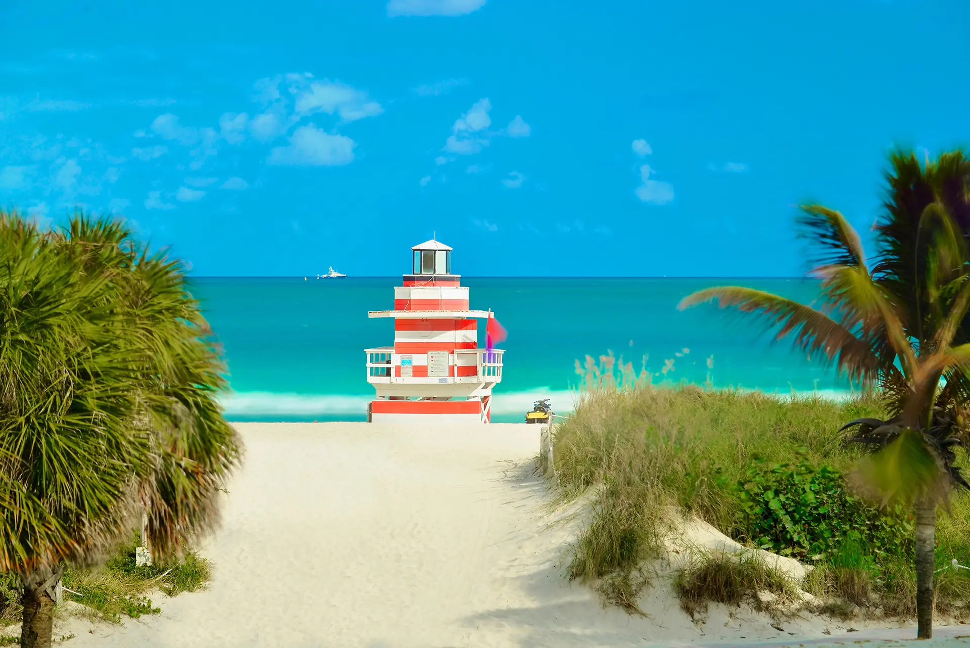 5 Tours of Miami You Don’t Want to Miss